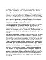 Prezentációk 'Birds', 17.                