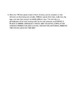 Prezentációk 'Birds', 18.                