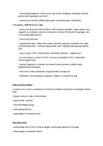 Összefoglalók, jegyzetek 'Babits Mihály', 2.                