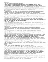 Összefoglalók, jegyzetek 'Biology Exam Notes: Units on Reproduction in Plants and Animals', 3.                