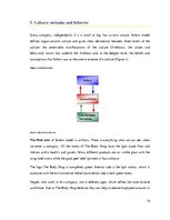 Kutatási anyagok 'The International Chain Analysis of Company "The Body Shop"', 10.                