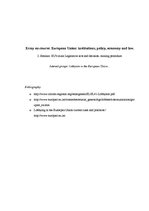 Esszék 'Interest Groups: Lobbyist in the European Union', 5.                