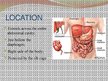 Prezentációk 'Liver - Anatomy and Functions', 2.                