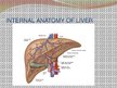 Prezentációk 'Liver - Anatomy and Functions', 6.                