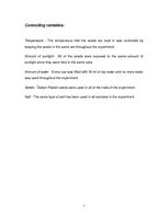 Gyakorlati jelentések 'How Is the Germination of Daikon Radish Seeds Affected by the Salt Added to Wate', 6.                