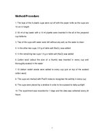 Gyakorlati jelentések 'How Is the Germination of Daikon Radish Seeds Affected by the Salt Added to Wate', 8.                