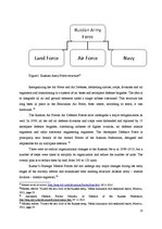 Esszék 'Russian Military Reforms', 13.                