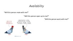 Prezentációk 'What Makes Us Attractive?', 14.                