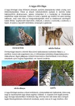 Esszék 'A tajga élővilága', 1.                