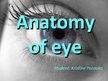 Prezentációk 'Anatomy of Eye', 1.                
