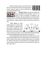 Összefoglalók, jegyzetek 'Optical Illusions', 7.                