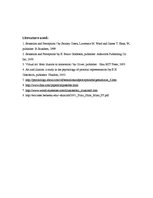 Összefoglalók, jegyzetek 'Optical Illusions', 8.                