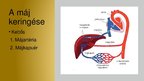 Prezentációk 'A máj', 4.                