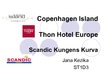 Prezentációk 'Scandinavian Hotels Comparison', 1.                