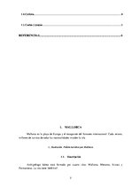 Összefoglalók, jegyzetek 'La isla Española - Mallorca', 2.                