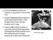 Prezentációk 'Volcanic Eruption', 7.                