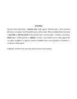 Kutatási anyagok 'Role of Context in Language Acquisition', 2.                