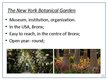 Prezentációk 'National Botanical Garden of Latvia. Comparison to the New York Botanical Garden', 10.                
