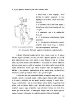 Kutatási anyagok 'Indonézia Művészete, A wayang', 22.                