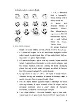 Kutatási anyagok 'Indonézia Művészete, A wayang', 24.                