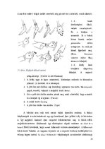 Kutatási anyagok 'Indonézia Művészete, A wayang', 26.                