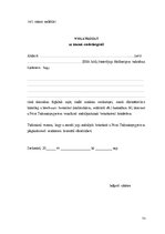 Kutatási anyagok 'Indonézia Művészete, A wayang', 51.                