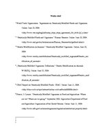 Esszék 'Essay on Intelectual Property Rights Concerning Genetically Modified Organisms a', 6.                