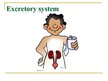 Prezentációk 'Excretory System', 1.                