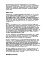 Prezentációk 'Excretory System', 15.                