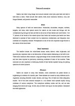 Kutatási anyagok 'The Control of Forest Insects', 7.                