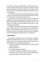 Összefoglalók, jegyzetek 'Ciclo de Vida', 3.                