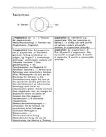 Kutatási anyagok 'Bedeutungsdifferenzen lettischer und deutscher Fremdwörter', 9.                