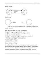 Kutatási anyagok 'Bedeutungsdifferenzen lettischer und deutscher Fremdwörter', 13.                