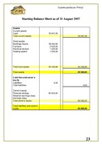 Üzleti tervek 'Guesthouse. Sauna "Pirtina"', 23.                