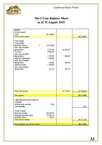 Üzleti tervek 'Guesthouse. Sauna "Pirtina"', 33.                