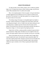 Kutatási anyagok 'The Company "Meizu"', 2.                