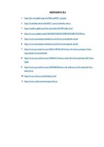 Kutatási anyagok 'The Company "Meizu"', 19.                