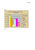 Záródolgozatok 'Internet Marketing versus Traditional Marketing for Small Companies in Latvia', 90.                