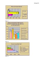 Záródolgozatok 'Internet Marketing versus Traditional Marketing for Small Companies in Latvia', 93.                