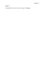 Záródolgozatok 'Internet Marketing versus Traditional Marketing for Small Companies in Latvia', 101.                