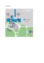 Kutatási anyagok 'Riga International Airport. Ground Handling Operations', 12.                