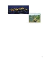 Kutatási anyagok 'Guernsey', 20.                