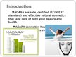 Prezentációk 'Strategic Management SIA "Madara Cosmetics"', 2.                