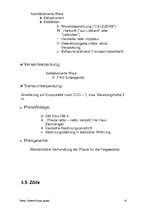 Üzleti tervek 'SIA "Lielezers"', 10.                