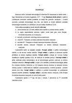 Záródolgozatok 'The Ambiguities of Legal Terminology in EU Documents and Legislation', 4.                