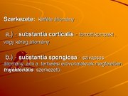 Kutatási anyagok 'A csontvázrendszer', 3.                