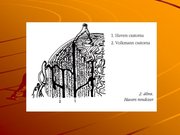 Kutatási anyagok 'A csontvázrendszer', 5.                