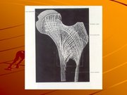 Kutatási anyagok 'A csontvázrendszer', 7.                