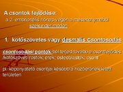 Kutatási anyagok 'A csontvázrendszer', 11.                