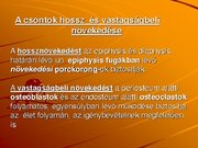 Kutatási anyagok 'A csontvázrendszer', 14.                